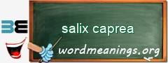 WordMeaning blackboard for salix caprea